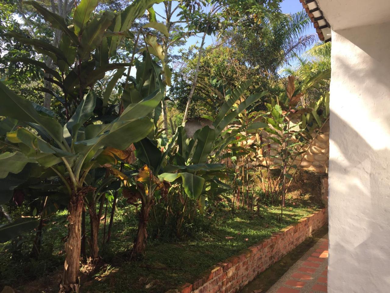 Hotel Casona Las Juanas San José de Pare Exteriér fotografie