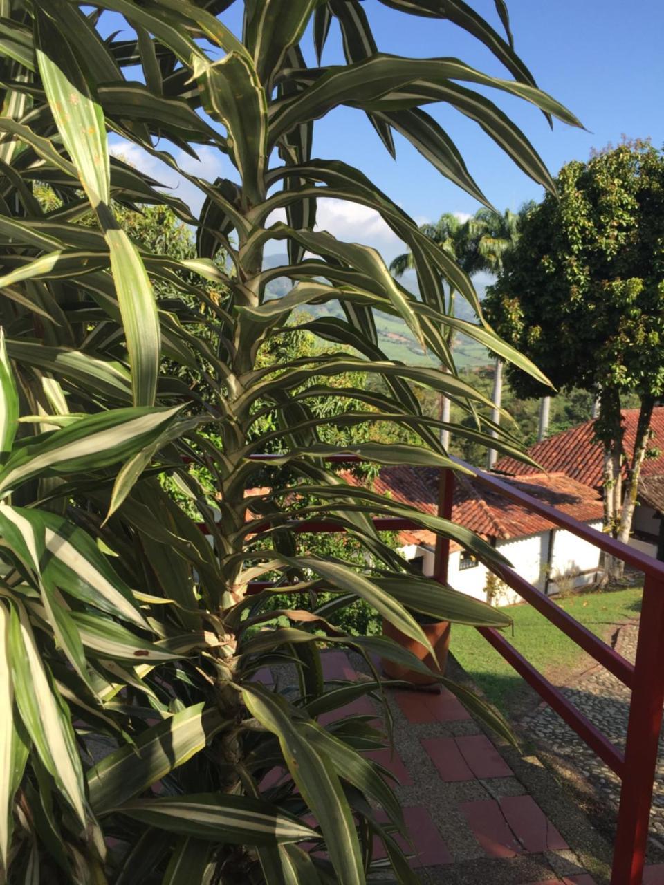 Hotel Casona Las Juanas San José de Pare Exteriér fotografie